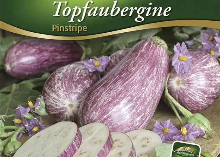 Auberginensamen 'Pinstripe F1' Auberginensamen 'Pinstripe F1'