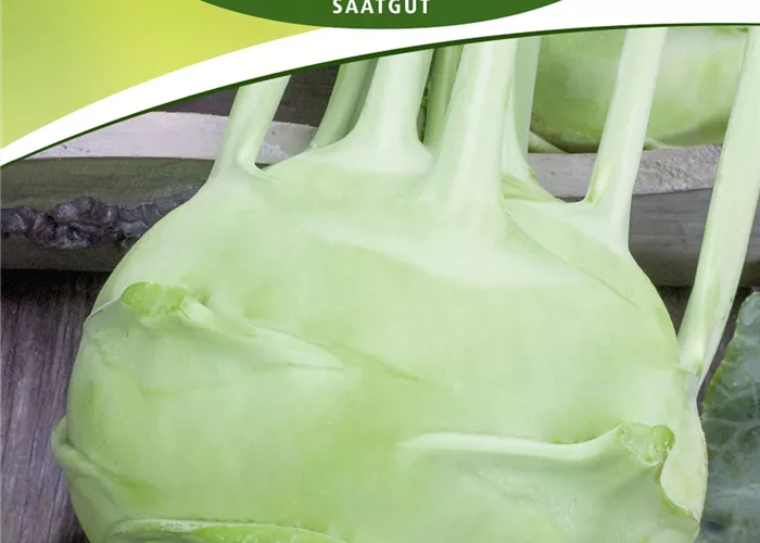 Kohlrabisamen 'Lanro'