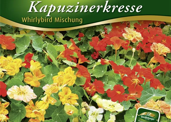 Kapuzinerkressesamen 'Whirlybird'