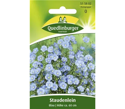 Ausdauernder Lein-Samen Ausdauernder Lein-Samen