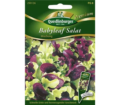 Babyleaf-Salat-Samen Babyleaf-Salat-Samen