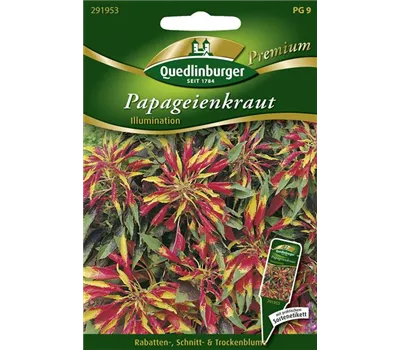 Amarantsamen 'Ilumination' Amarantsamen 'Ilumination'