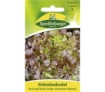 Eichblattsalatsamen 'Red Salad Bowl' Eichblattsalatsamen 'Red Salad Bowl'