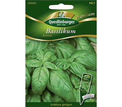 Basilikumsamen 'Bavires' Basilikumsamen 'Bavires'