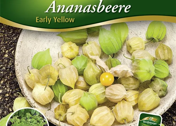 Ananasbeerensamen 'Early Yellow' Ananasbeerensamen 'Early Yellow'