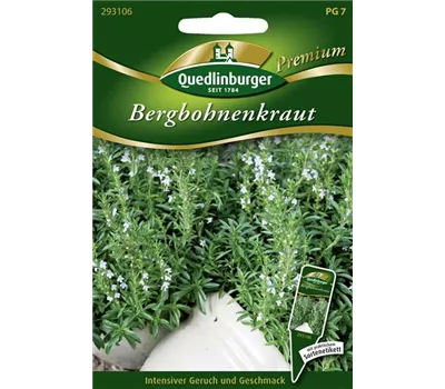 Berg-Bohnenkraut-Samen