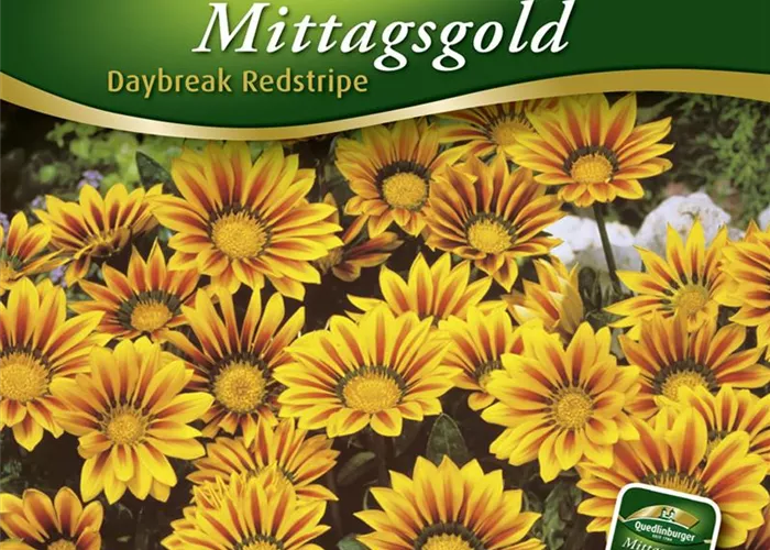 Mittagsgoldsamen 'Daybreak Red Stripe F1'