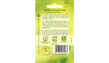 Brassica oleracea var. italica 'Premium Crop F1' Brassica oleracea var. italica 'Premium Crop F1'