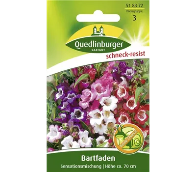 Bartfadensamen 'Sensationsmischung' Bartfadensamen 'Sensationsmischung'