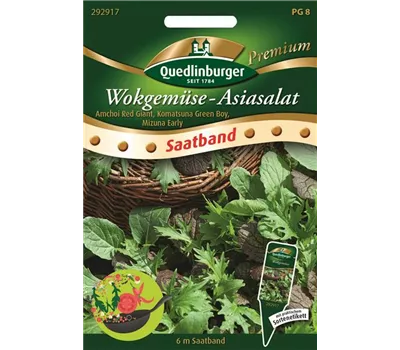 Asiasalatsamen Asiasalatsamen