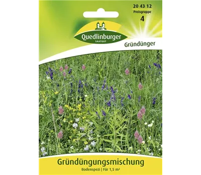 Gründüngung-Samen Gründüngung-Samen