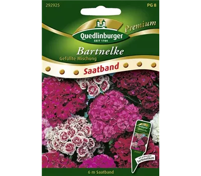 Bartnelkensamen Bartnelkensamen