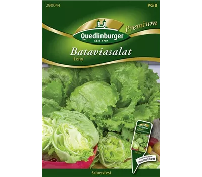Batavia-Salat-Samen 'Leny' Batavia-Salat-Samen 'Leny'