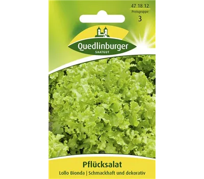Blatt-Salat-Samen 'Lollo bionda' Blatt-Salat-Samen 'Lollo bionda'