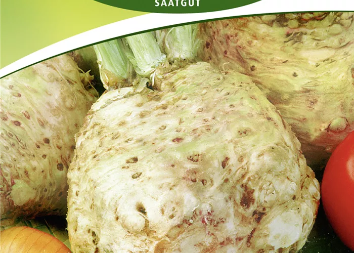 Knollenselleriesamen 'Mars'