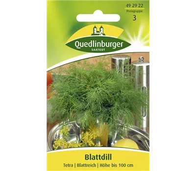 Dillsamen 'Tetra' Dillsamen 'Tetra'