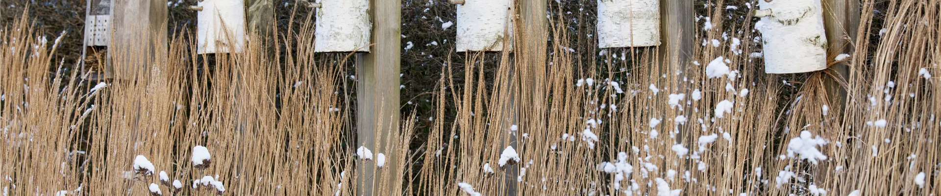 Vogelhaus schneebedeckt