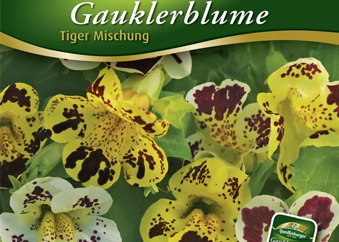 Gauklerblumensamen 'Tigermischung' Gauklerblumensamen 'Tigermischung'