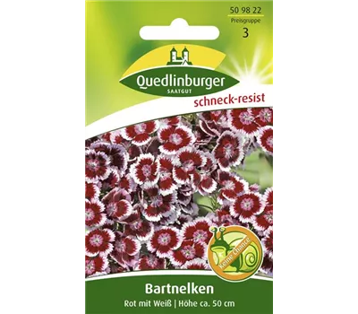 Bartnelkensamen Bartnelkensamen