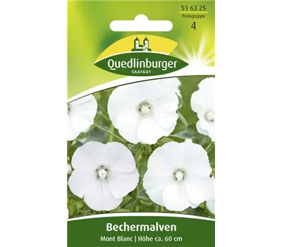 Bechermalvensamen 'Mont Blanc' Bechermalvensamen 'Mont Blanc'