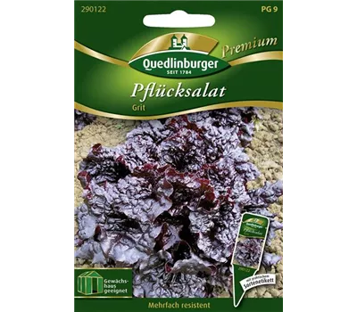 Eichblattsalatsamen 'Grit' Eichblattsalatsamen 'Grit'