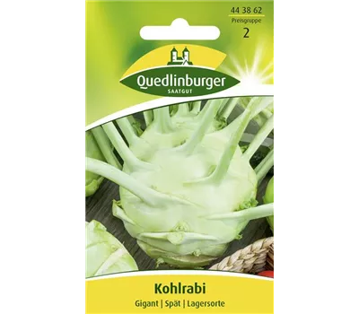 Kohlrabisamen 'Gigant'
