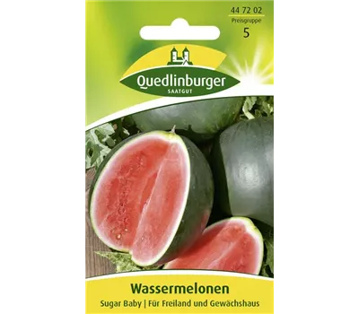 Wassermelonensamen 'Sugar Baby' Wassermelonensamen 'Sugar Baby'
