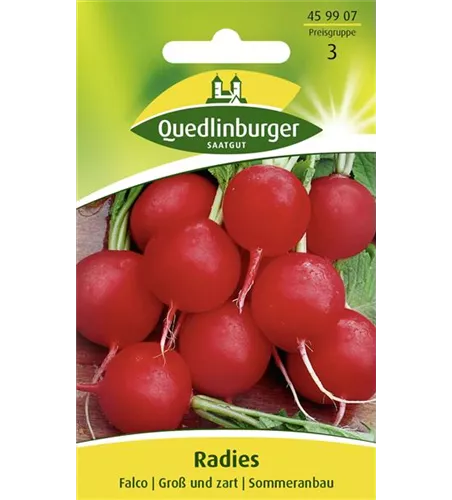 Radieschensamen 'Falco'