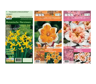 Blumenzwiebel Set 'Diversity'