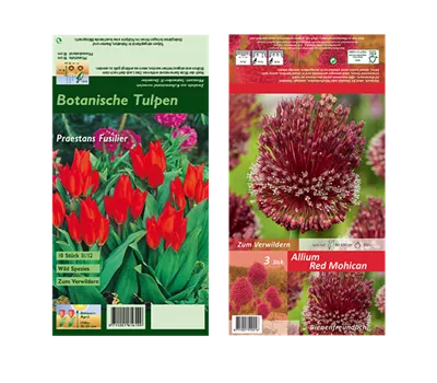 Blumenzwiebel Set 'Flamming Love'