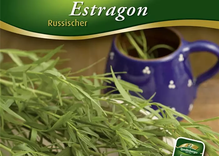 Rusischer Estragon-Samen
