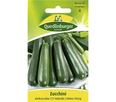 Zucchinisamen 'Ambassador F1' Zucchinisamen 'Ambassador F1'