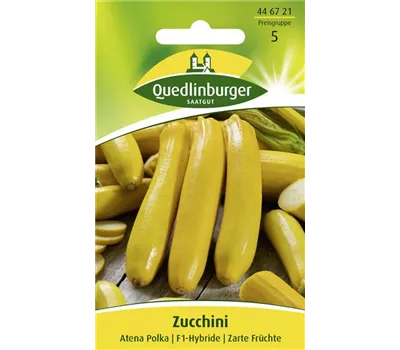 Zucchinisamen 'Atena Polka' Zucchinisamen 'Atena Polka'