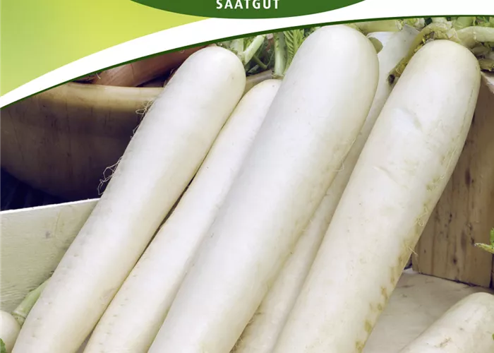 Rettichsamen 'Minowase Summer Cross F1'