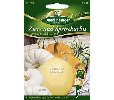 Kürbissamen Kürbissamen