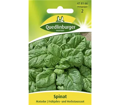 Spinatsamen 'Matador'