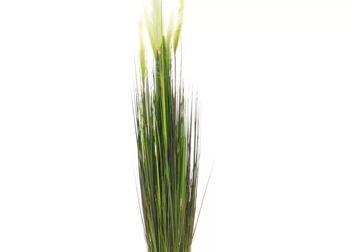 fleur ami ROHRKOLBEN (TYPHA) Kunstpflanze