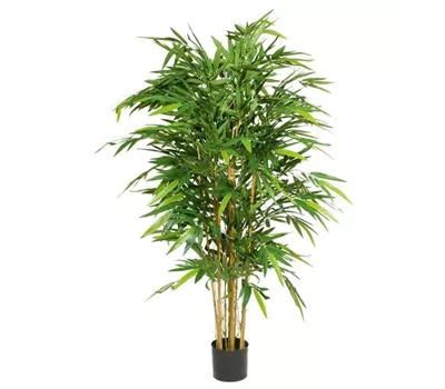 fleur ami BAMBUS DELUXE Kunstpflanze fleur ami BAMBUS DELUXE Kunstpflanze