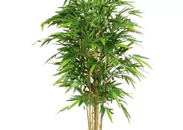 fleur ami BAMBUS DELUXE Kunstpflanze fleur ami BAMBUS DELUXE Kunstpflanze