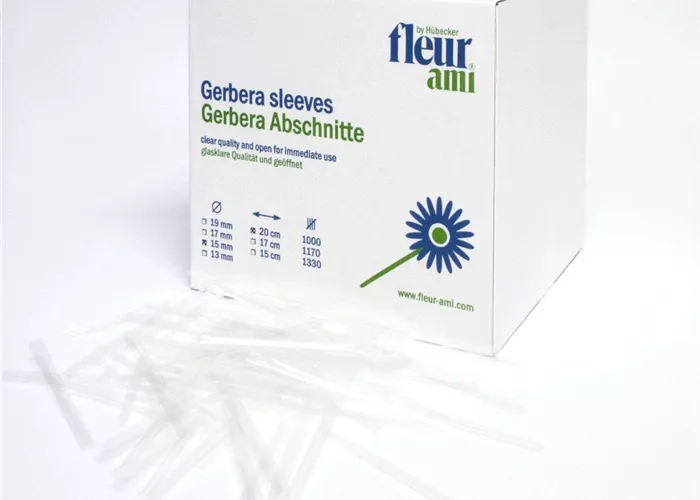 fleur ami GERBERA Abschnitte fleur ami GERBERA Abschnitte