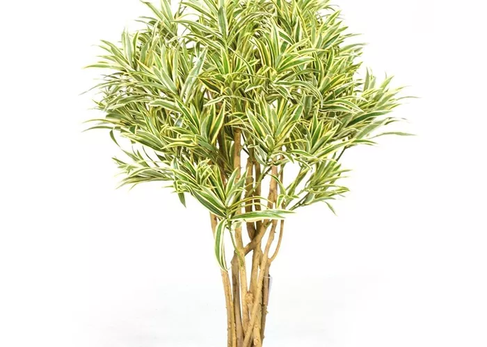 fleur ami DRACAENA REFLEXA Kunstpflanze