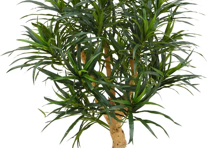 fleur ami DRACAENA REFLEXA Kunstpflanze