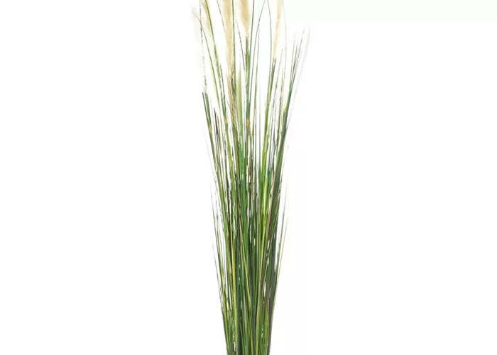 fleur ami ROHRKOLBEN (TYPHA) Kunstpflanze