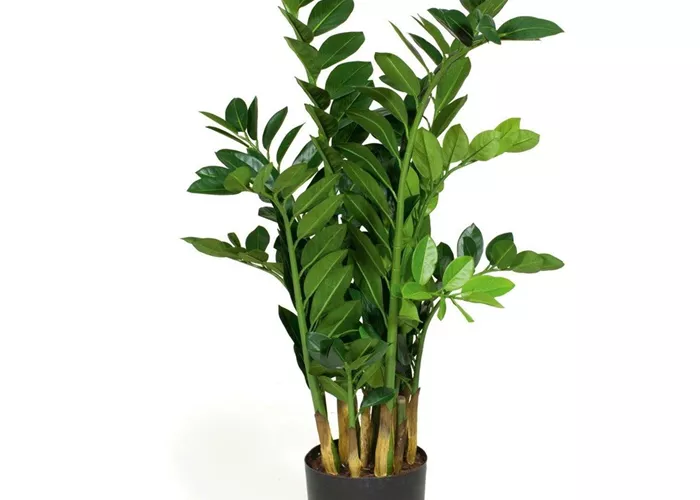 fleur ami ZAMIOCULCAS Kunstpflanze fleur ami ZAMIOCULCAS Kunstpflanze