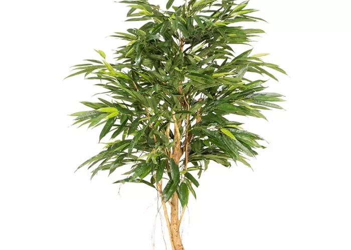 fleur ami LONGIFOLIA ROYAL Kunstpflanze