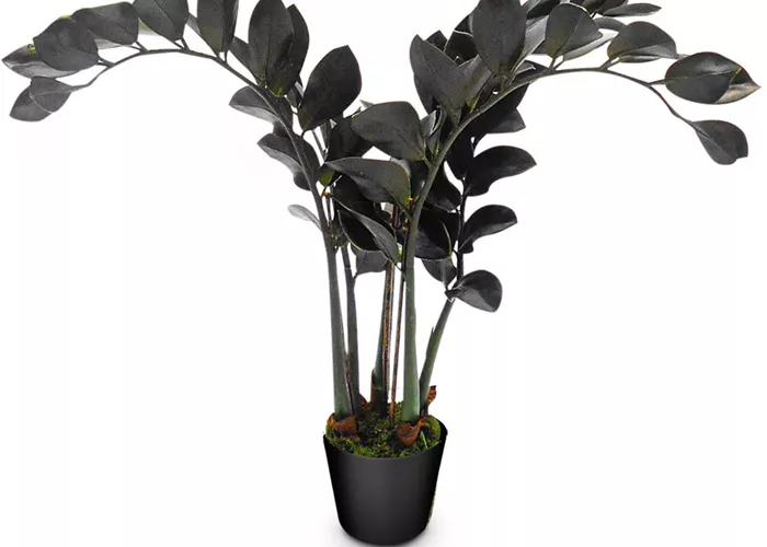 fleur ami ZAMIOCULCAS Kunstpflanze fleur ami ZAMIOCULCAS Kunstpflanze