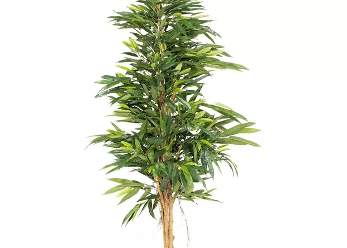 fleur ami LONGIFOLIA ROYAL NATURAL Kunstpflanze
