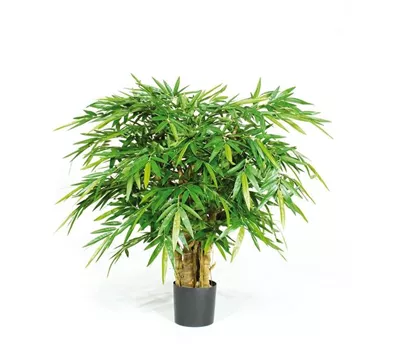 fleur ami BUDDHA BAMBUS DELUXE Kunstpflanze fleur ami BUDDHA BAMBUS DELUXE Kunstpflanze