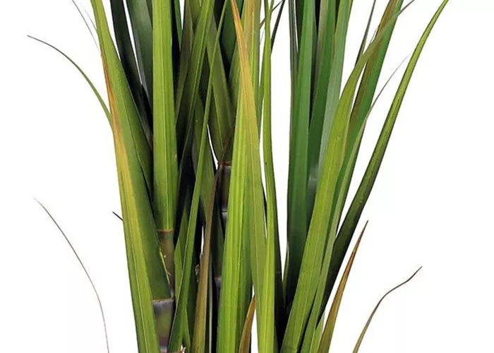 fleur ami ZUCKERROHR Kunstpflanze