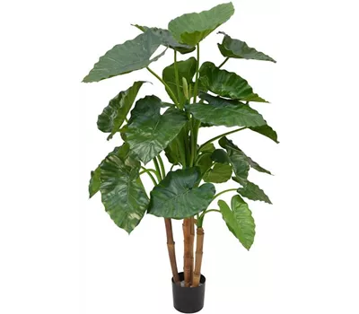fleur ami ALOCASIA CALIDORA DELUXE Kunstpflanze fleur ami ALOCASIA CALIDORA DELUXE Kunstpflanze